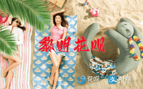 盖棺论定花呗